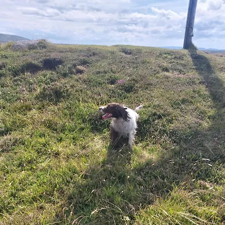 Tobar Na Si Apartman *