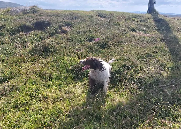 Tobar Na Si Apartman *